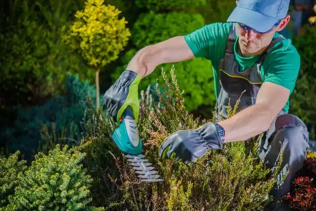 landscaping services Zanesville